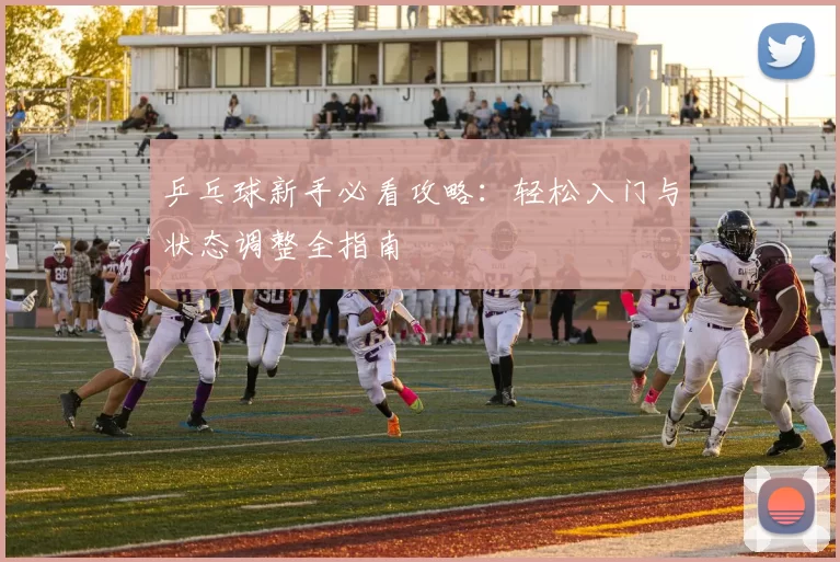 乒乓球新手必看攻略：轻松入门与状态调整全指南