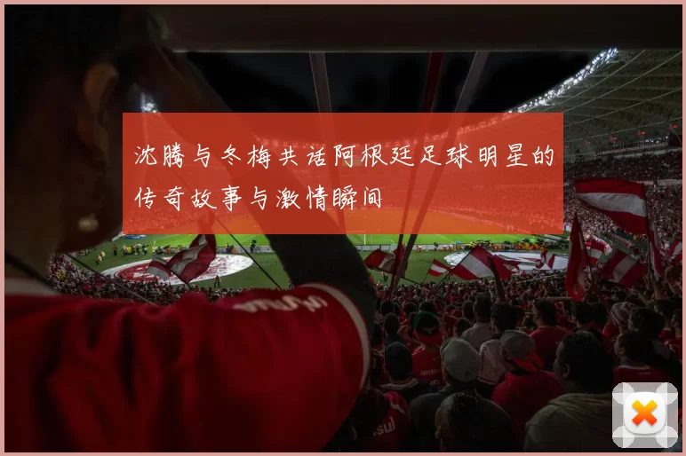 沈腾与冬梅共话阿根廷足球明星的传奇故事与激情瞬间
