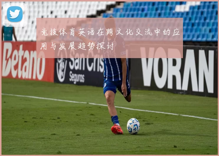 竞技体育英语在跨文化交流中的应用与发展趋势探讨