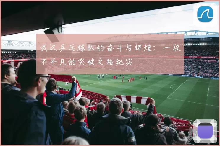 武汉乒乓球队的奋斗与辉煌：一段不平凡的突破之路纪实