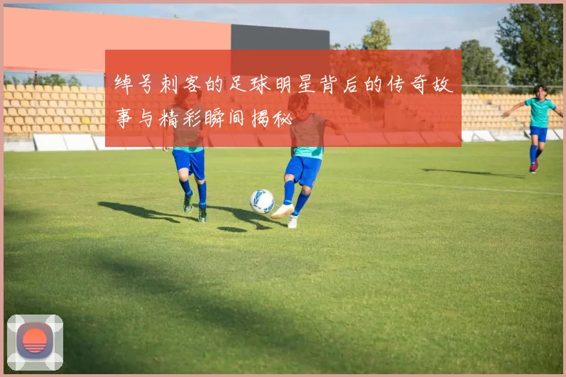 绰号刺客的足球明星背后的传奇故事与精彩瞬间揭秘